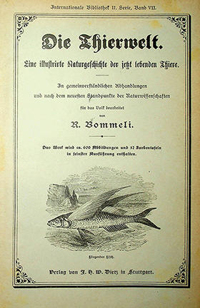 Bommeli R. Die Thierwelt. Eine illustrierte Naturgeschichte der jetzt lebenden Thiere / R. Bommeli. – Stuttgart: Verlag von F.H.W. Dietz, 1894. – [XXII], 888S.: Ill.; 12 Taf.