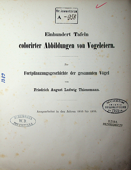 Friedrich August Ludwig Thienemann Einhundert Tafeln colorirter Abbildungen von Vogeleiern zur Fortpflanzungsgeschichte der gesammten Vögel:– [Dresden]: 1856