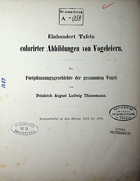 Friedrich August Ludwig Thienemann Einhundert Tafeln colorirter Abbildungen von Vogeleiern zur Fortpflanzungsgeschichte der gesammten Vögel: Ausgearbeitet in den Jahren 1845 bis 1854. – [Dresden]: [Brockhaus], 1856. – XVII; 100 Tab.