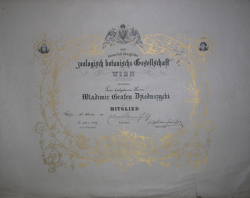 Diplomas Die kaiselich königliche Zoologish botanische Gesellschaft in Wien