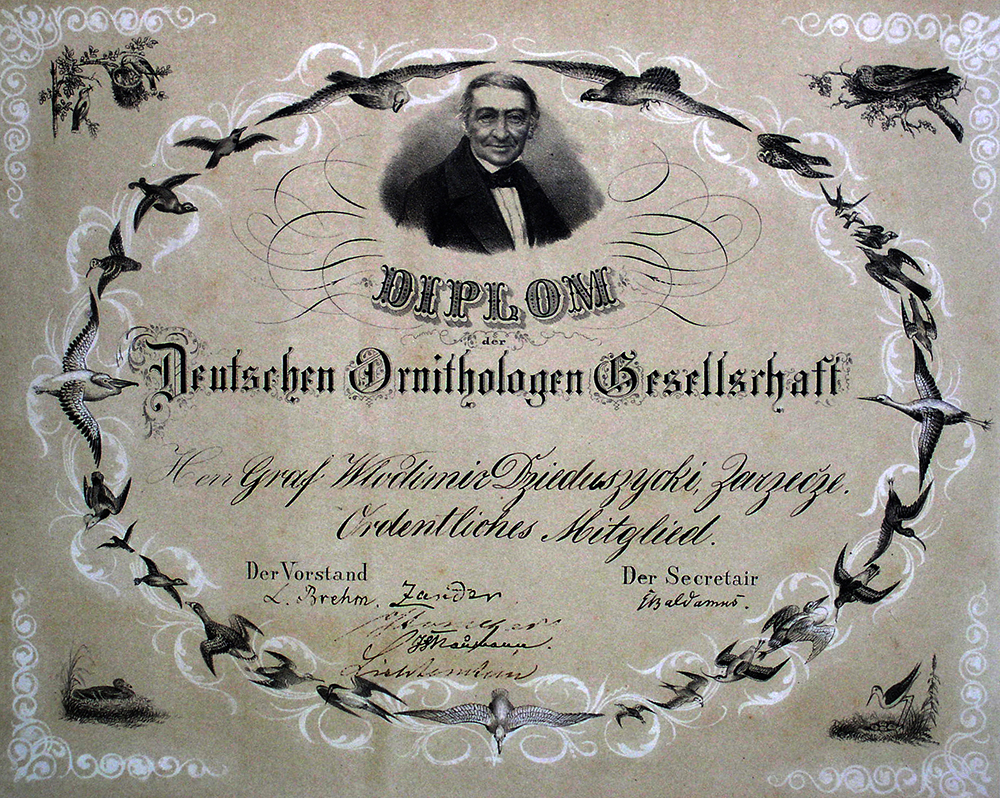 Diplomas Diplom der Deutschen Ornithologen Gesellschaft 