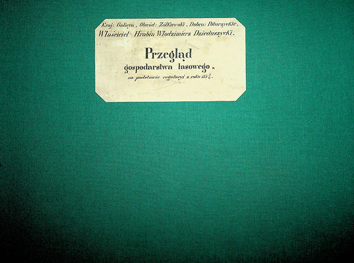 Przegląd gospodarstwa lasowego na podstawie regulacyi z roku 1856