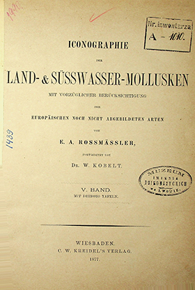 Rossmӓssler E.A. Iconographie Land- & Süsswasser-Molluscken mit Vorzüglicher Berücksichtigung der Europaischen noch nicht Abgebildeten Arten. Neue Folge. V Band. Mit Dreissig Tafeln. – 1884. – 72S.